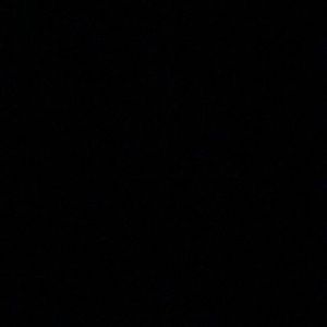 Meet your Posher, Zane